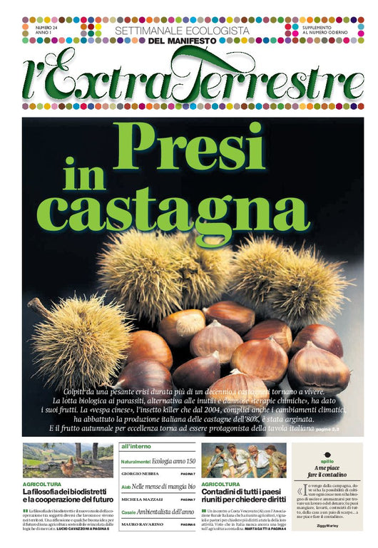 ExtraTerrestre - numero 25 - Presi in castagna