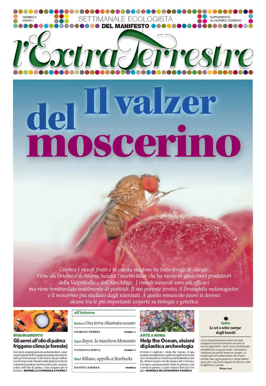 ExtraTerrestre - numero 5 - Il valzer del moscerino