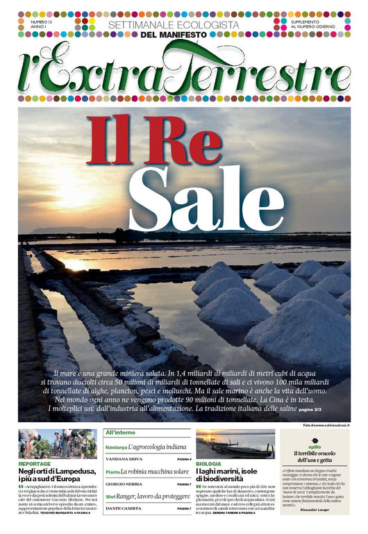 ExtraTerrestre - numero 14 - Il Re Sale