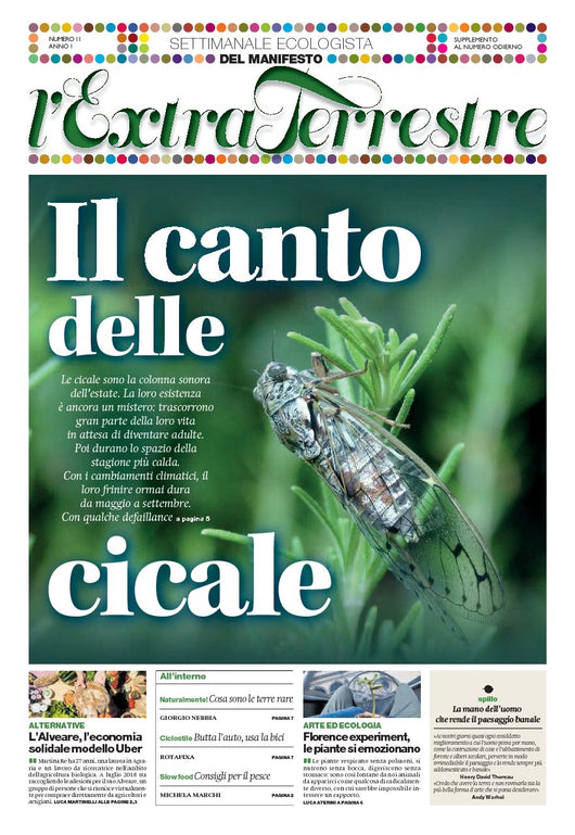 ExtraTerrestre - numero 12 - Il canto delle cicale