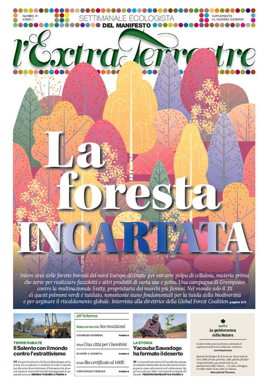 ExtraTerrestre - numero 20 - La foresta incartata