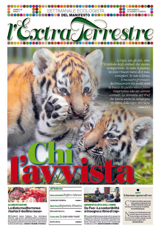 ExtraTerrestre - numero 29 - Chi l'avvista